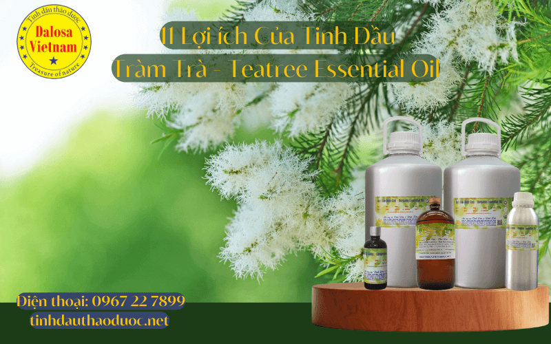 11-loi-ich-cho-suc-khoe-cua-tinh-dau-tra-tra-tea-tree-essential-oil_1