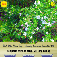 tinh-dau-hung-cay-savory-summer-essential-oil-1-lit - ảnh nhỏ  1